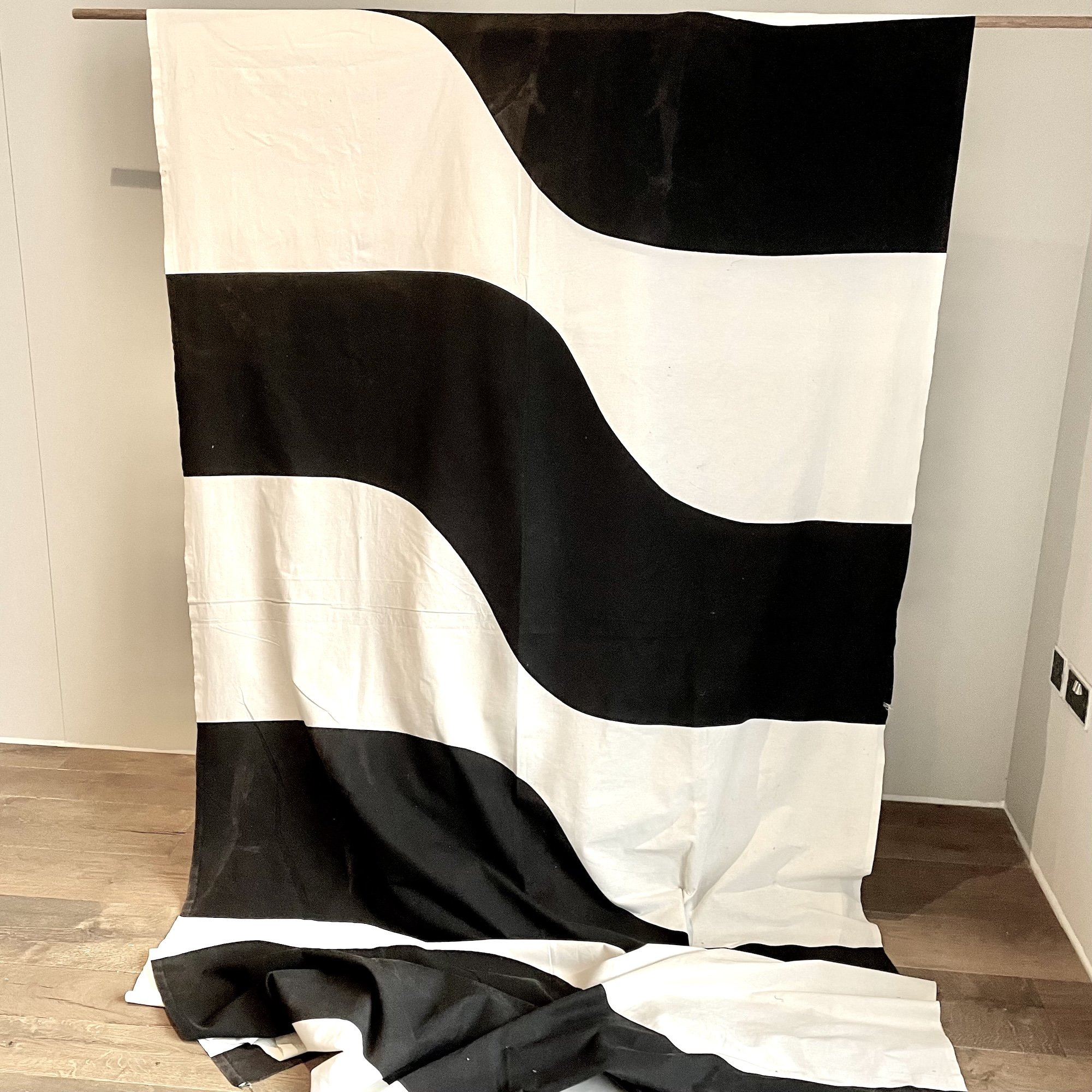 Bridget Riley 2.jpeg
