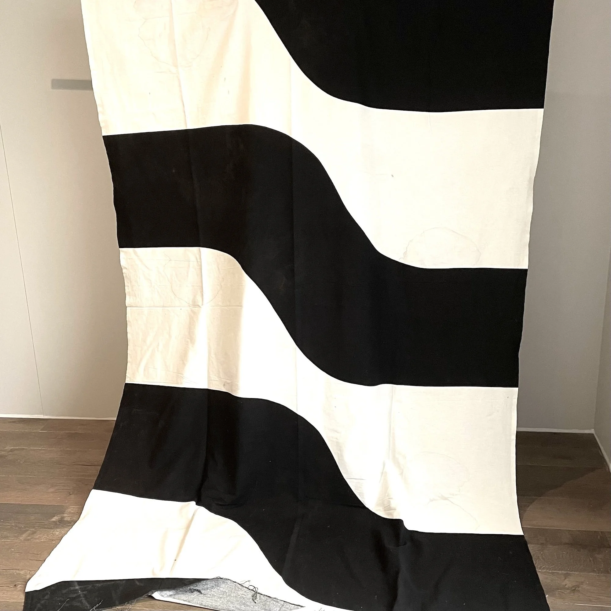 Bridget Riley 1.jpeg