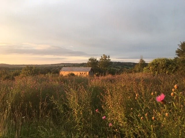 Rural Cabin.JPG