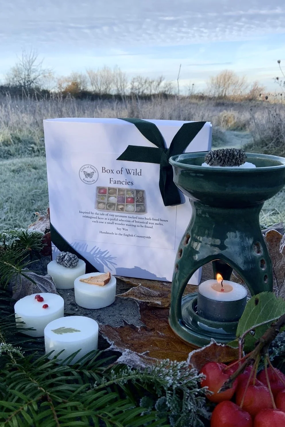 A Box of Wild Fancies