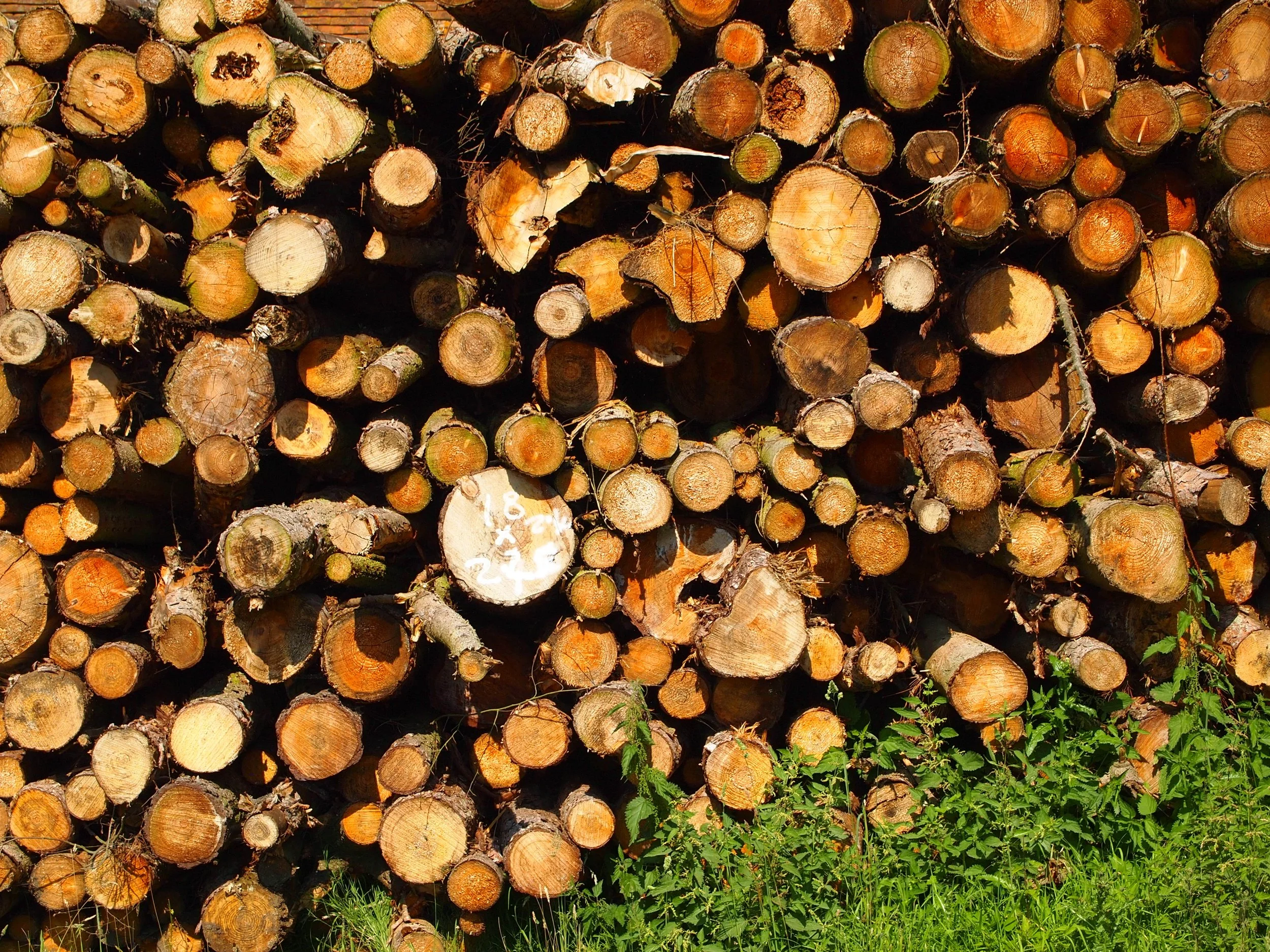 Ready for your wood burning stove.JPG