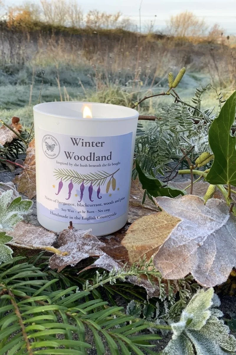 Winter Woodland 3.jpg