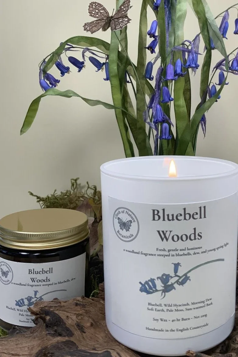 Bluebell woods 2.jpg