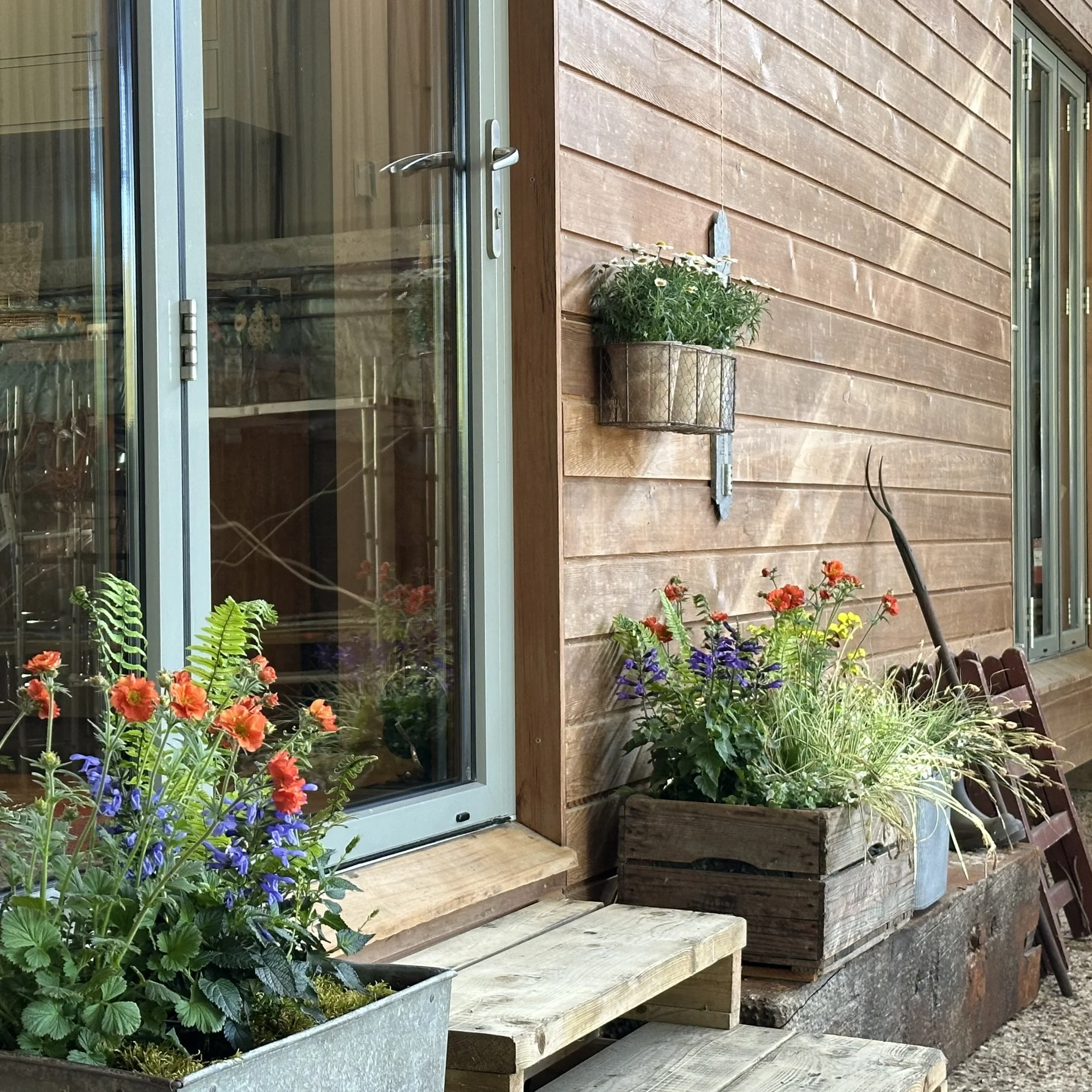 Cabin Garden.jpeg