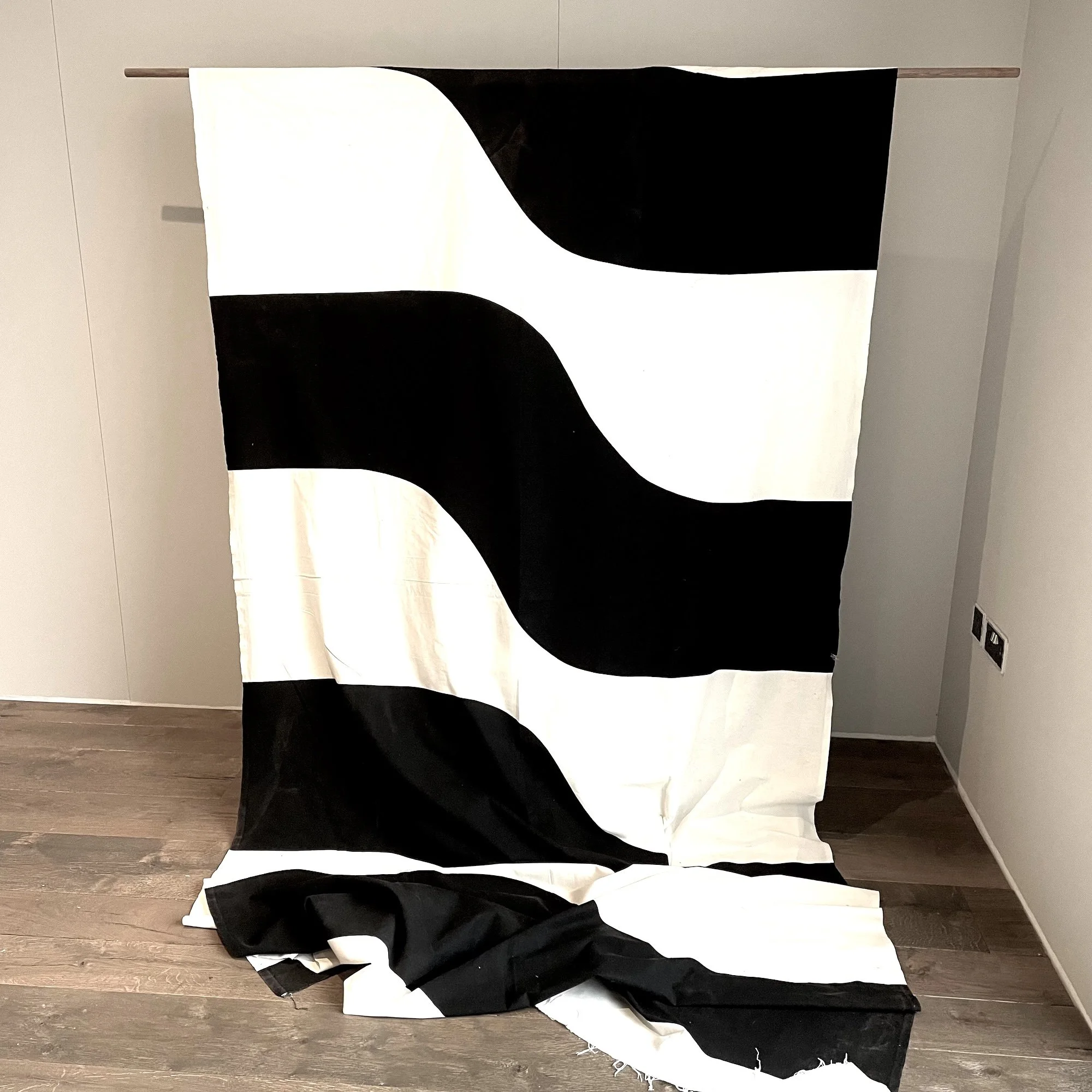 Bridget Riley 3.jpeg