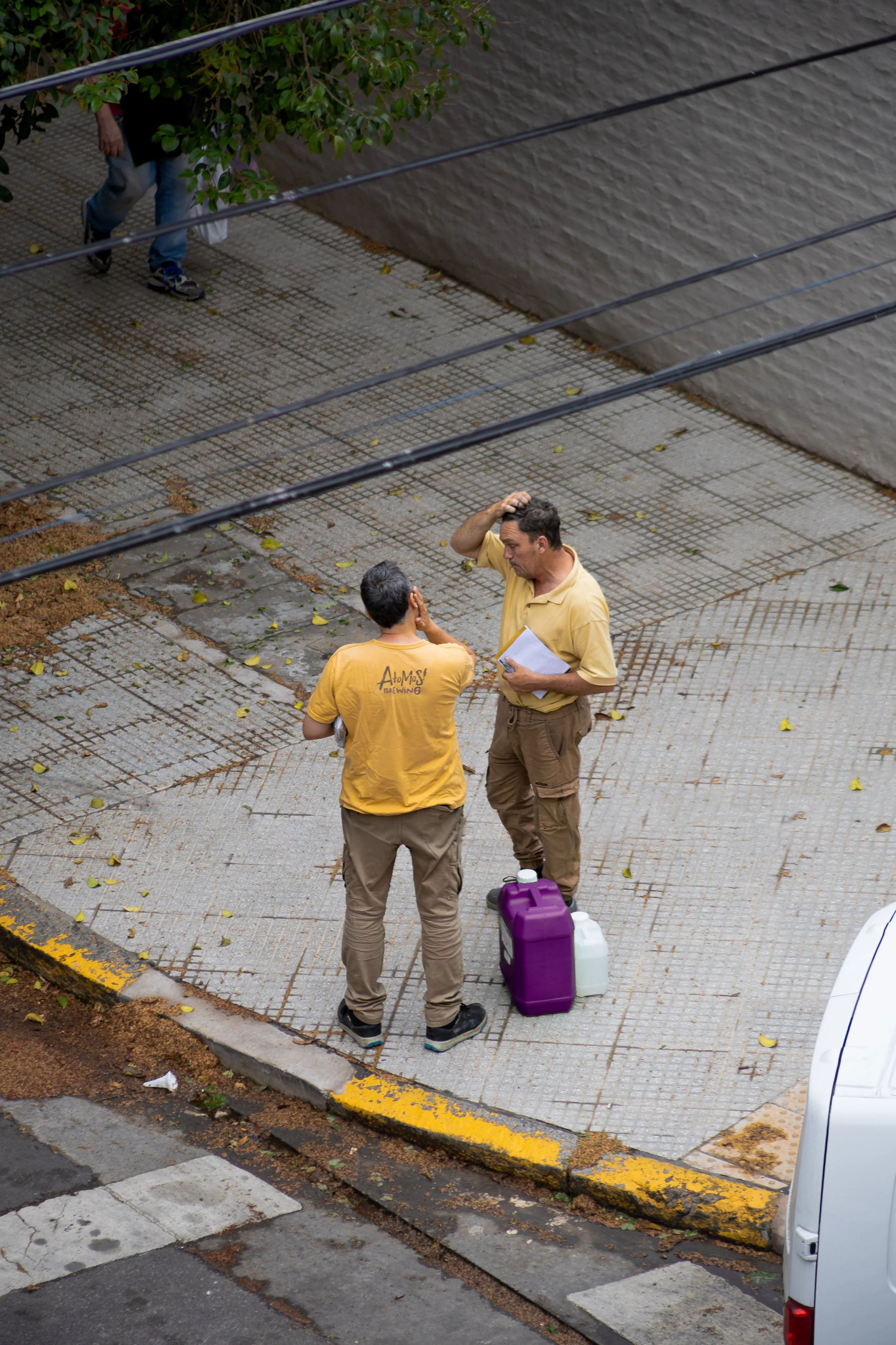 Complementary-colored workers and can