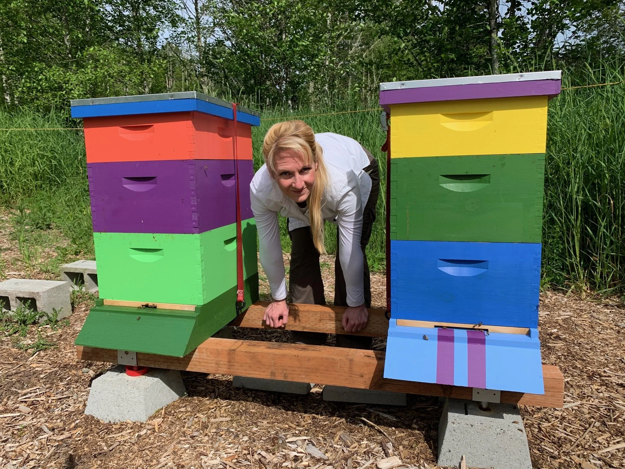 Inspired as a Beginning Beekeeper