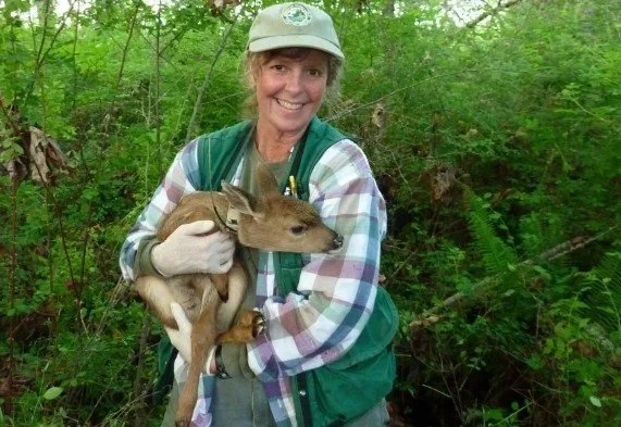 Shelly Ament - Wildlife Awareness