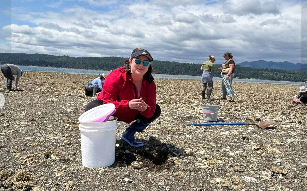 Screenshot 2025-06-16 093541.jpg