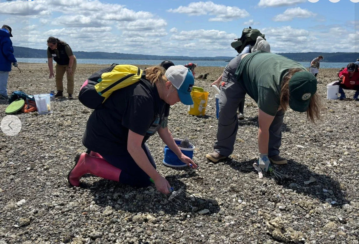 Screenshot 2025-06-16 093325.jpg