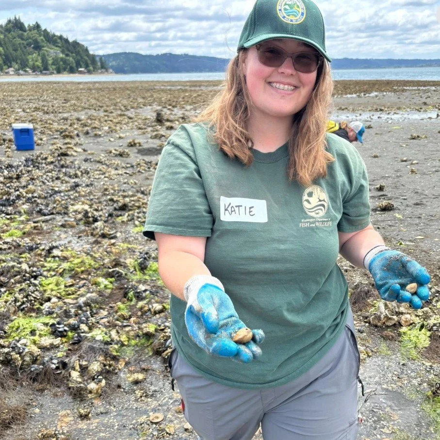 Screenshot 2025-06-16 093441.jpg