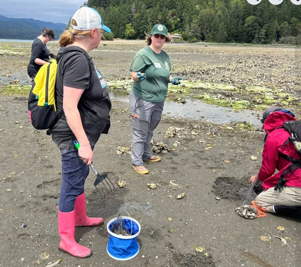 Screenshot 2025-06-16 093659.jpg