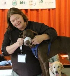 Tamara Stanley - First Aid for Dogs