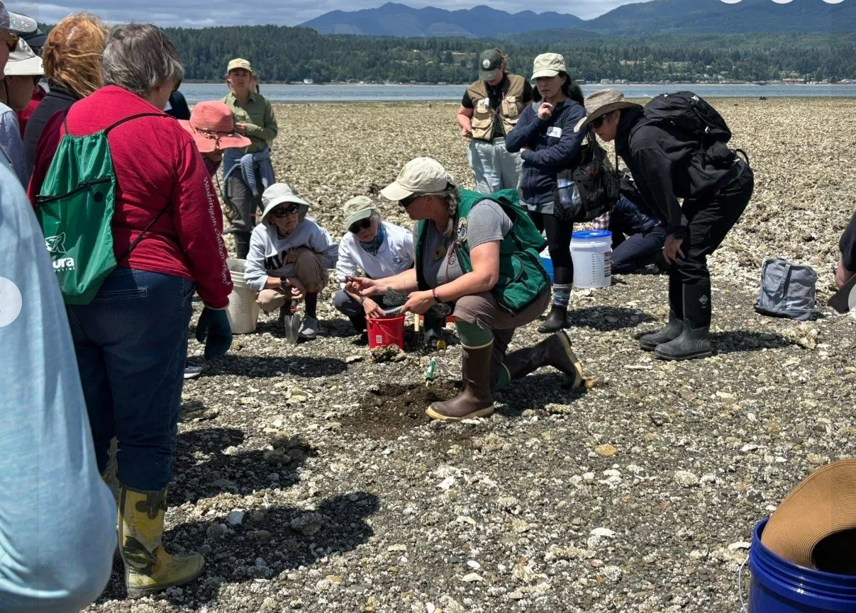 Screenshot 2025-06-16 093419.jpg