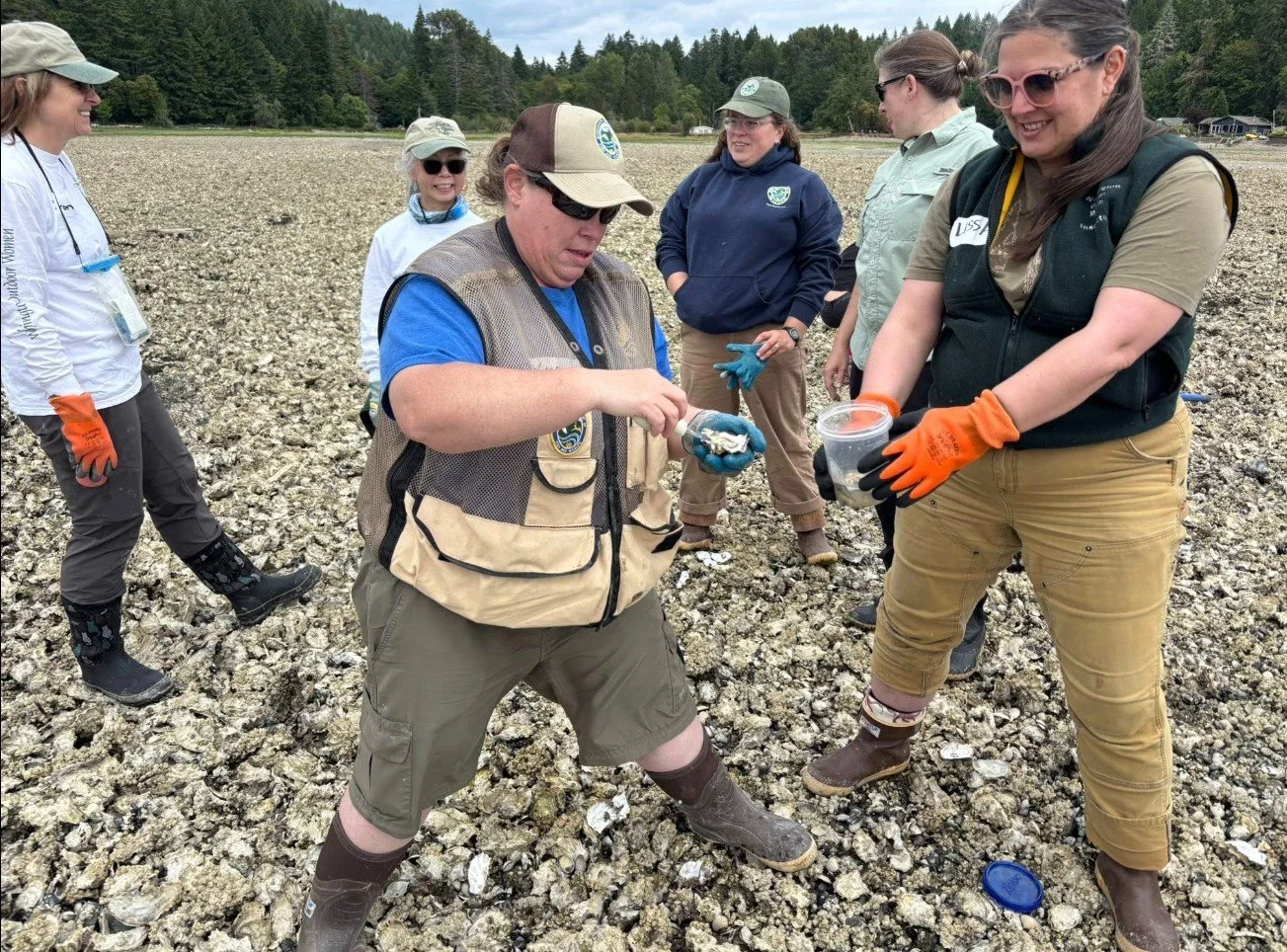 Screenshot 2025-06-16 093854.jpg