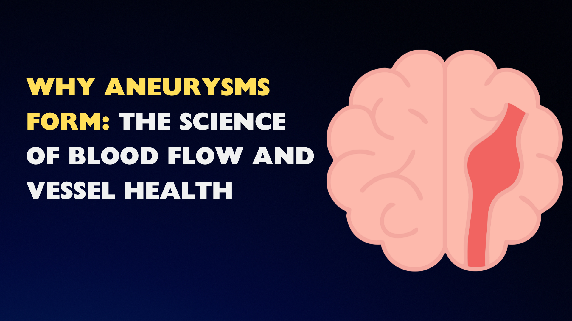 biology brain aneurysm.png