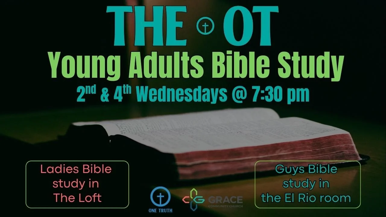 Young Adult Bible Study
