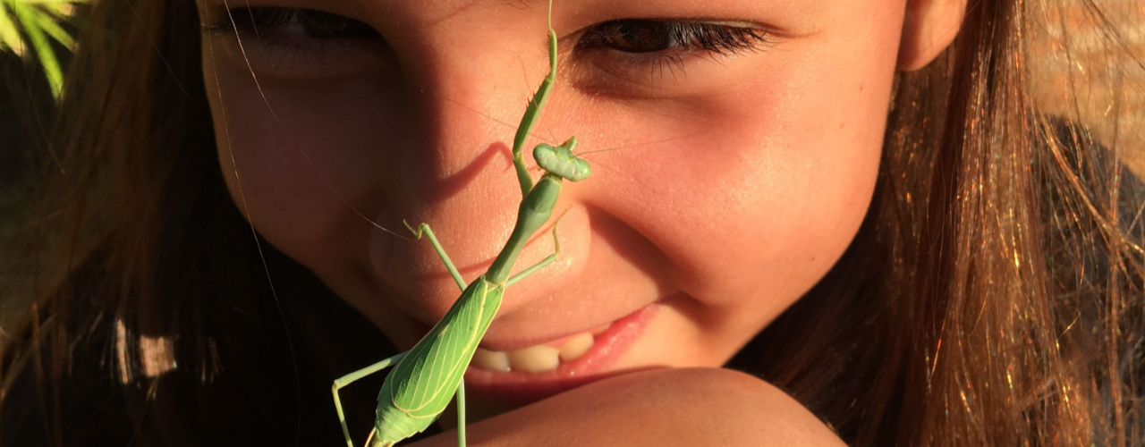 Balancing Intelligence with Wisdom: The Role of Shadow Work in Responsible Living