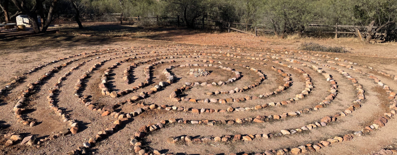 Illuminating the Shadow Self and Breaking Free from Stuck Patterns with Plant Medicine