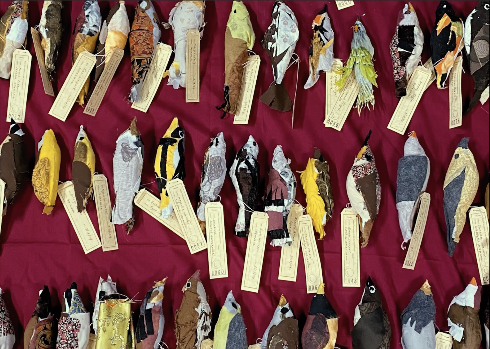 Bird Collisions in the Anthropocene