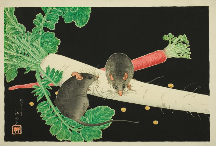 The “Spicy Villages of Mice” Present — A Poetry Reading