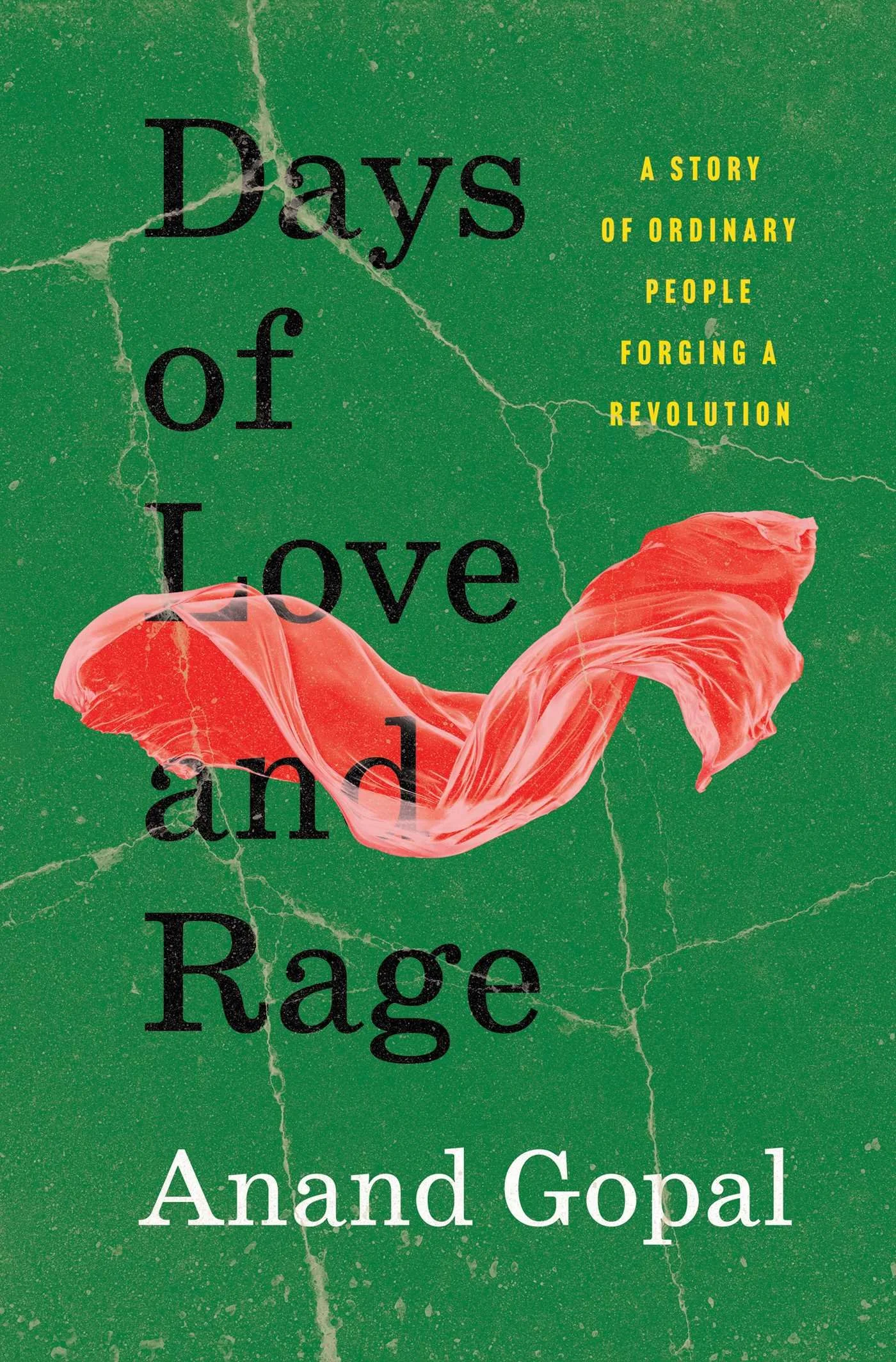 Reading Group: Days of Love and Rage by Anand Gopal