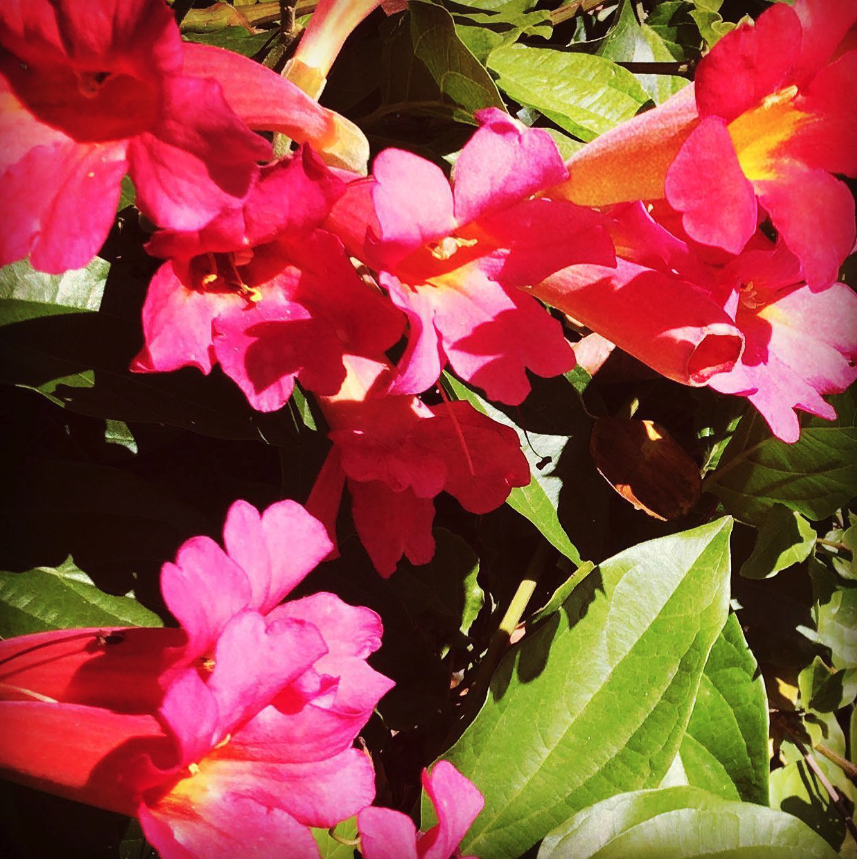 Screenshot 2025-11-10 at 11.02.50 AM.png