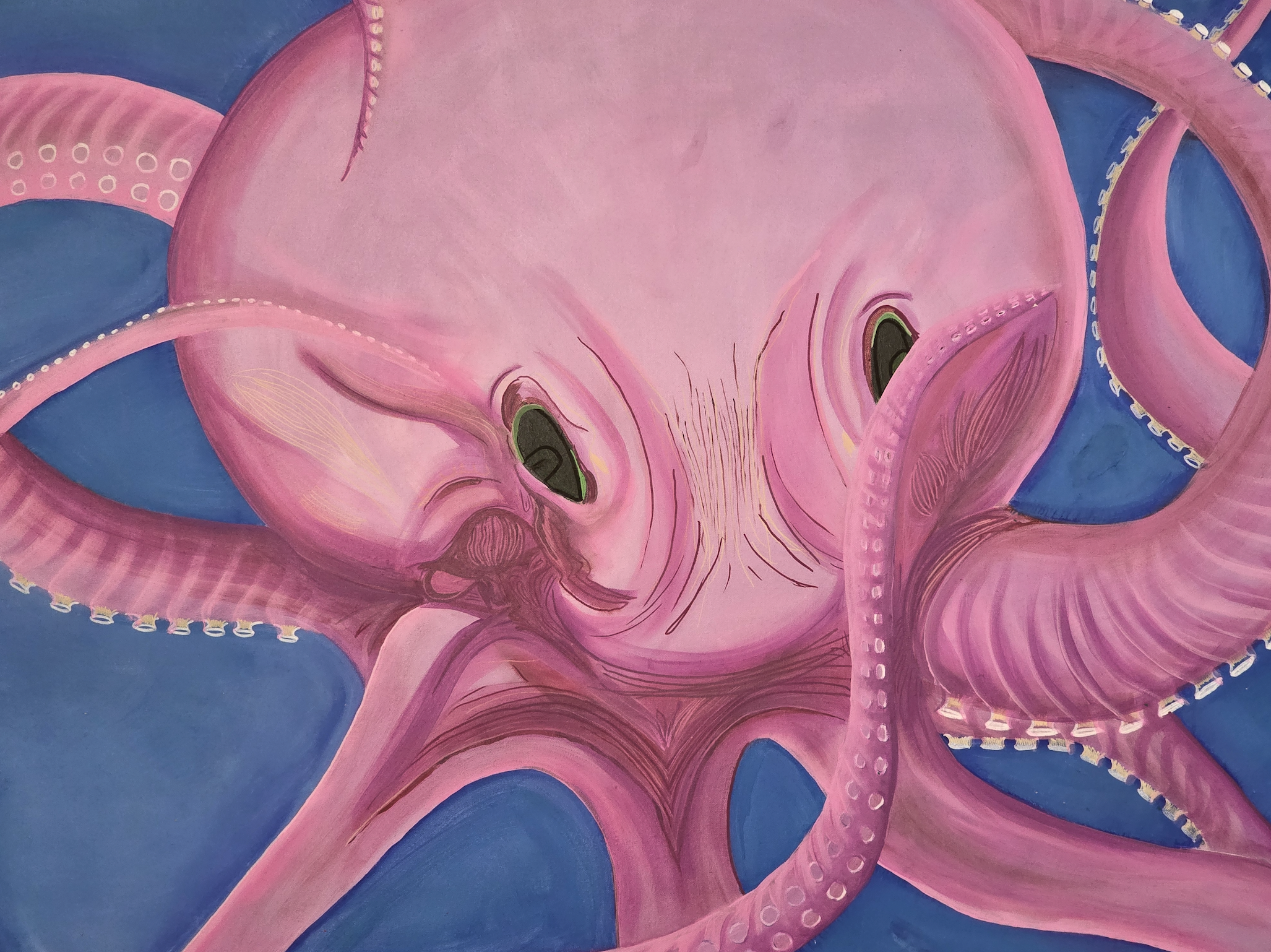 Screenshot 2026-04-06 at 17.01.50.png