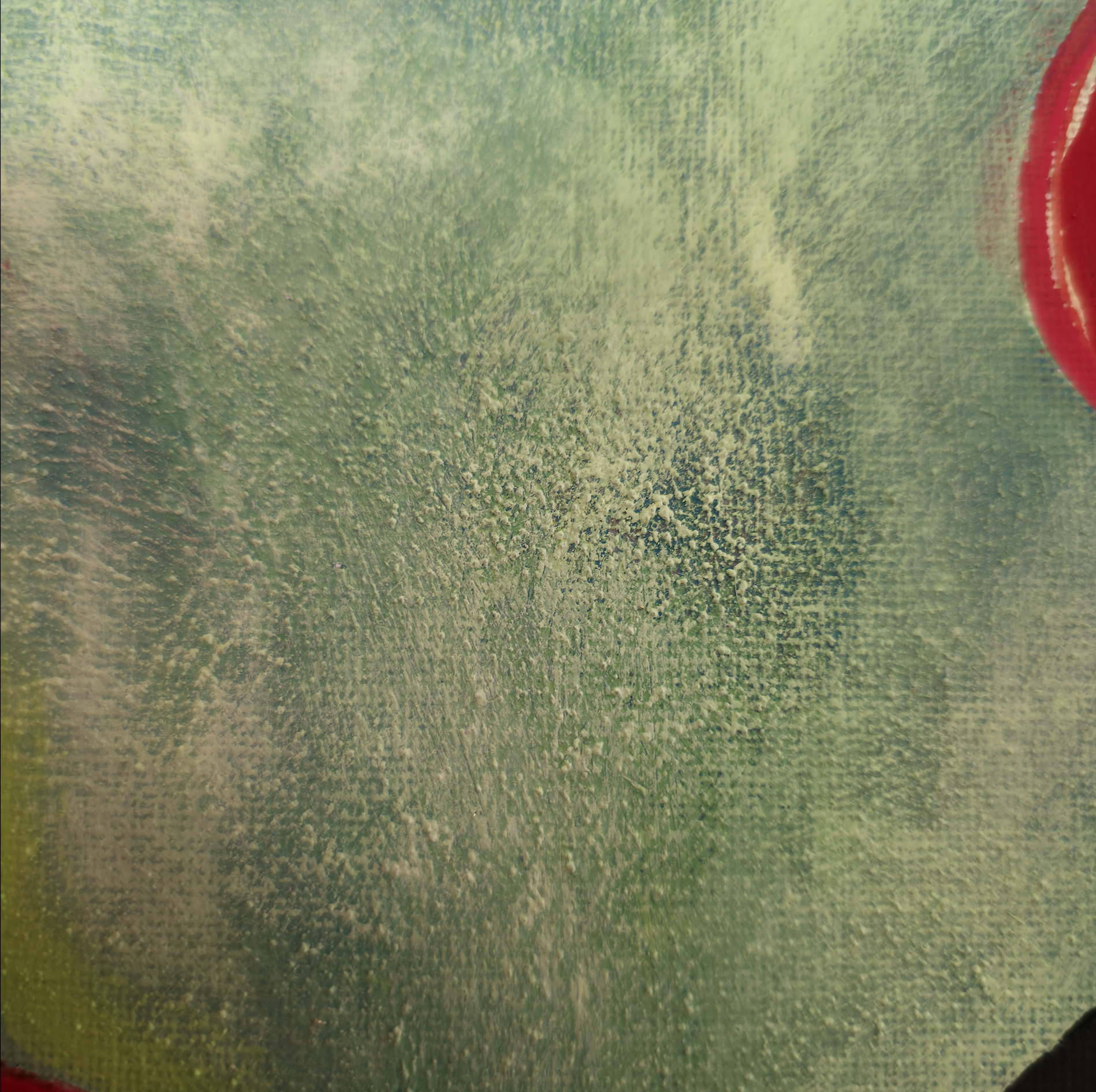 Screenshot 2026-04-06 at 17.19.23.png