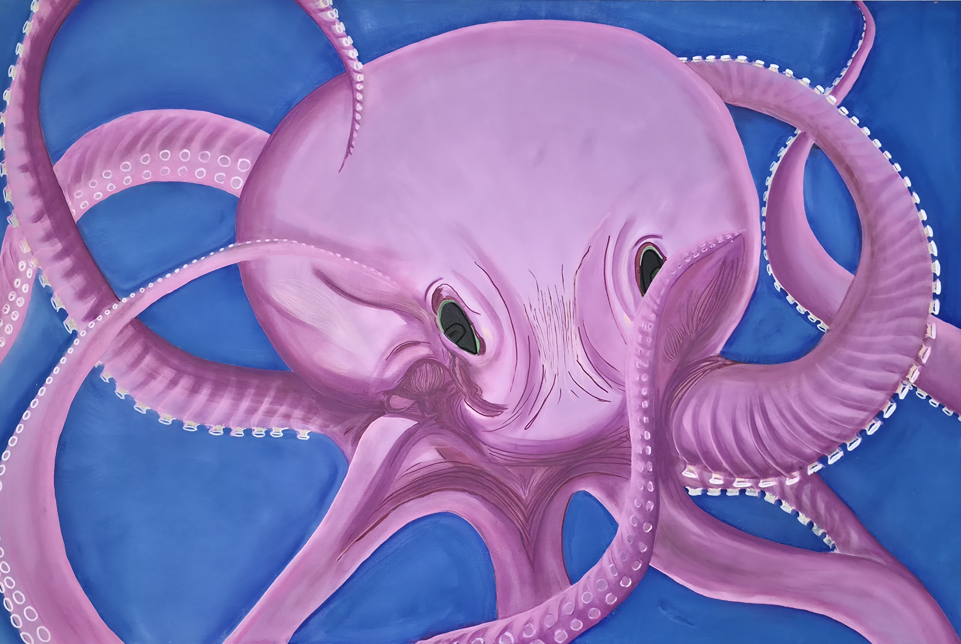 Octopus