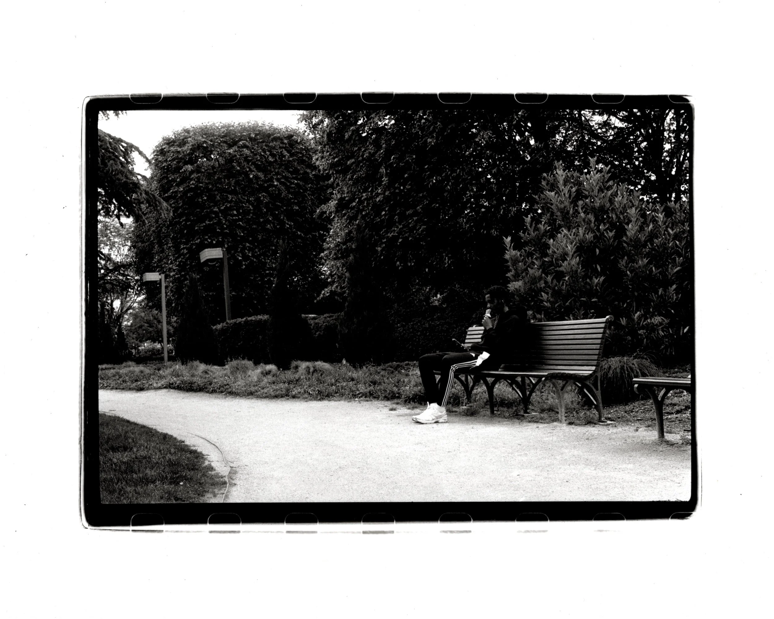 Wiaiting Room Number 5 - Ice Cream.jpeg