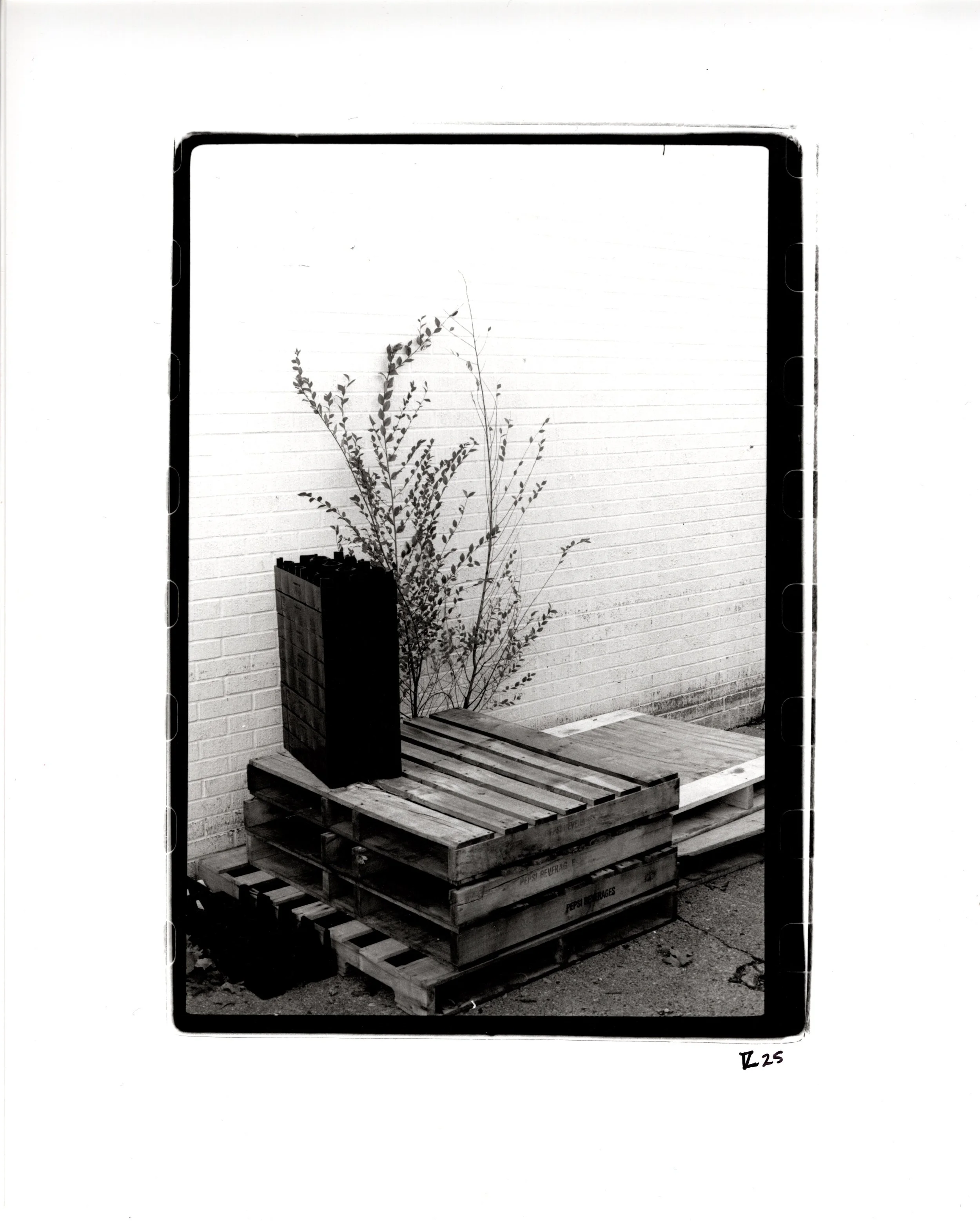 Start to Finish.jpeg