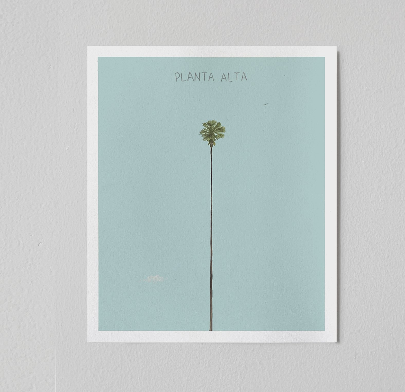 planta alta_print_pared b.jpg