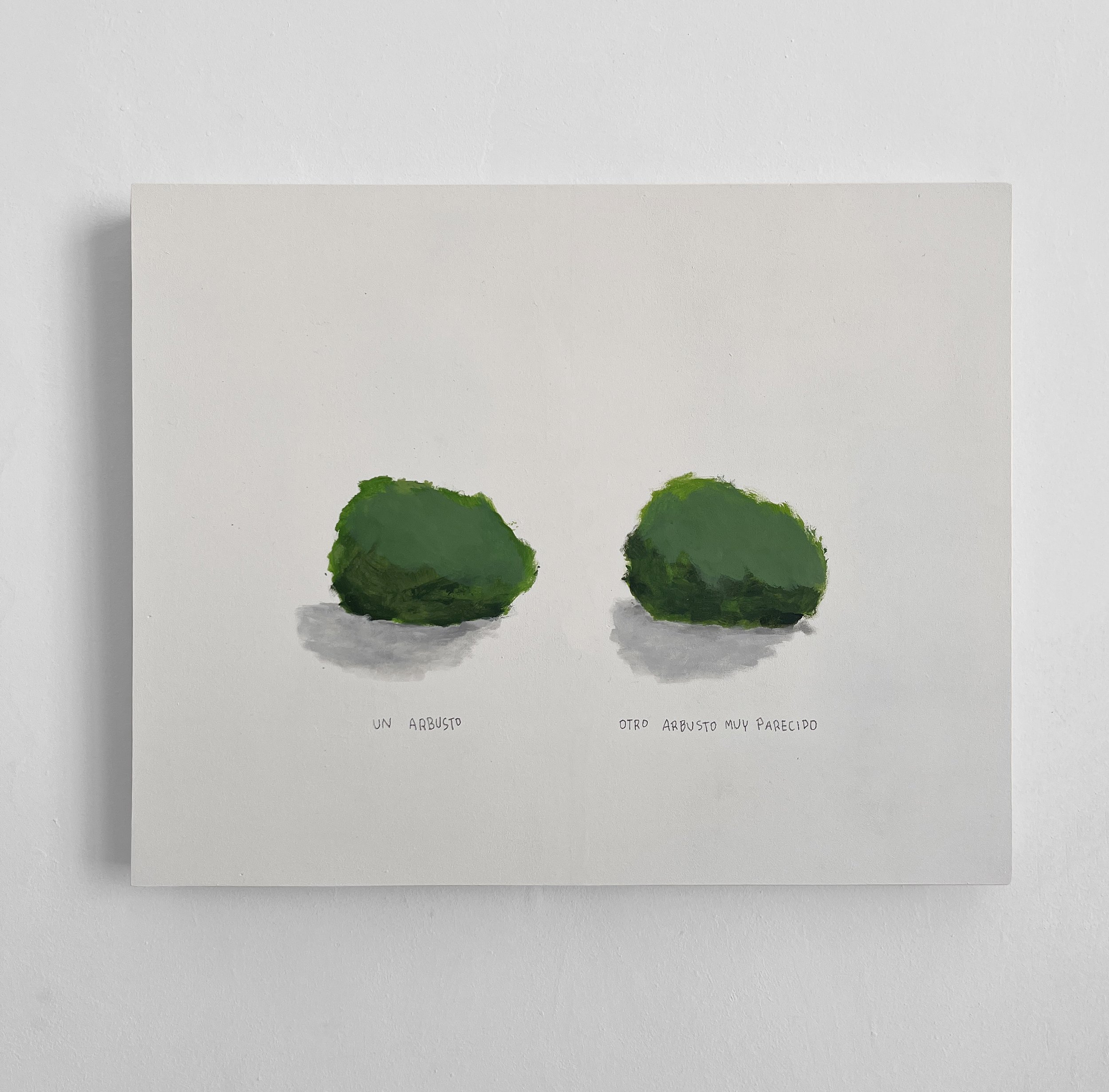 un arbusto otro arbusto1.jpg