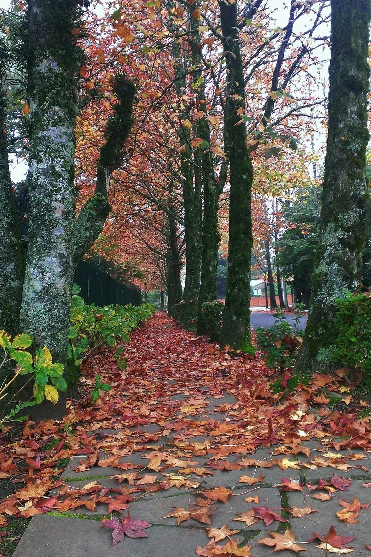 Qual a melhor época para visitar Gramado?