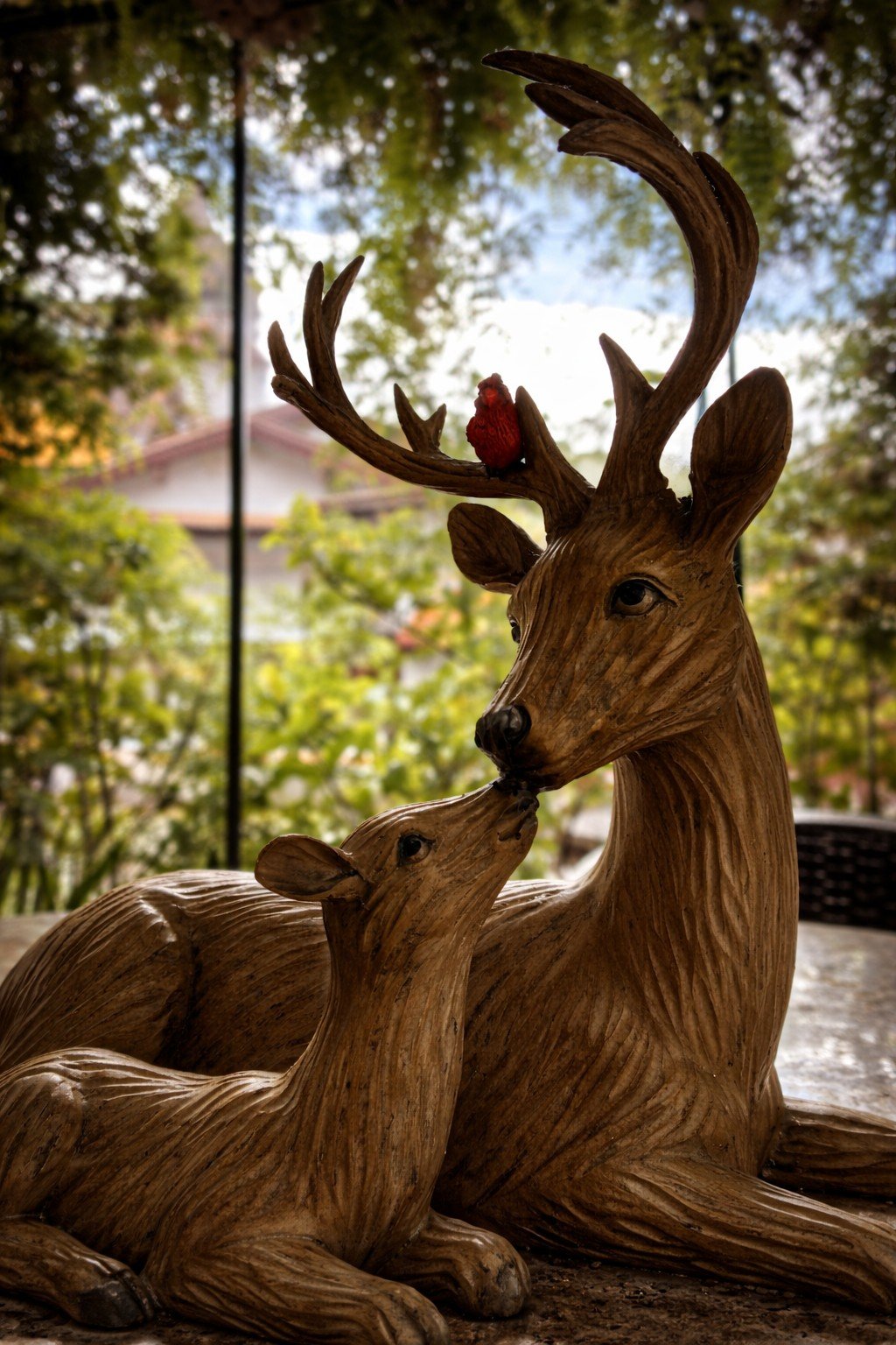 Tem algo no cheiro de madeira e jardim molhado que faz a gente esquecer que existe segunda-feira.

Venha lembrar disso.