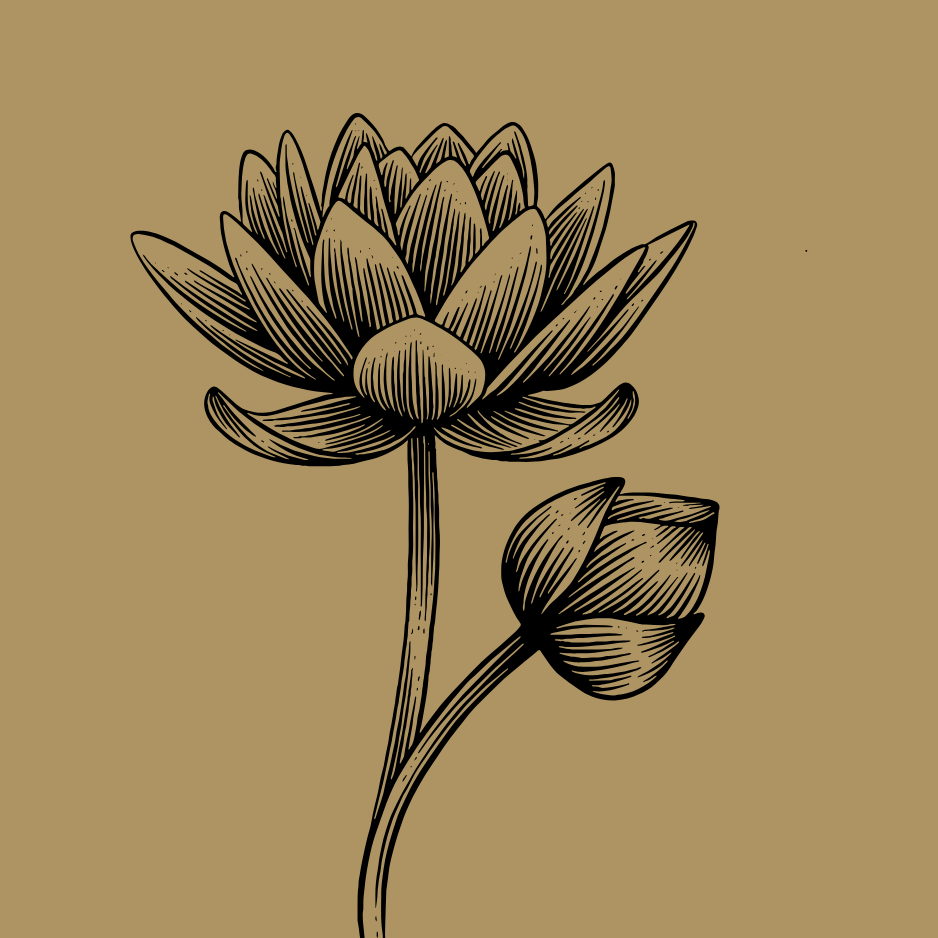 Lead Generation paid ads, client acquisition systems, lead nurturing, retargeting campaigns, ai appointment chatbots. premium creative and copywriting. Landing page optimization.