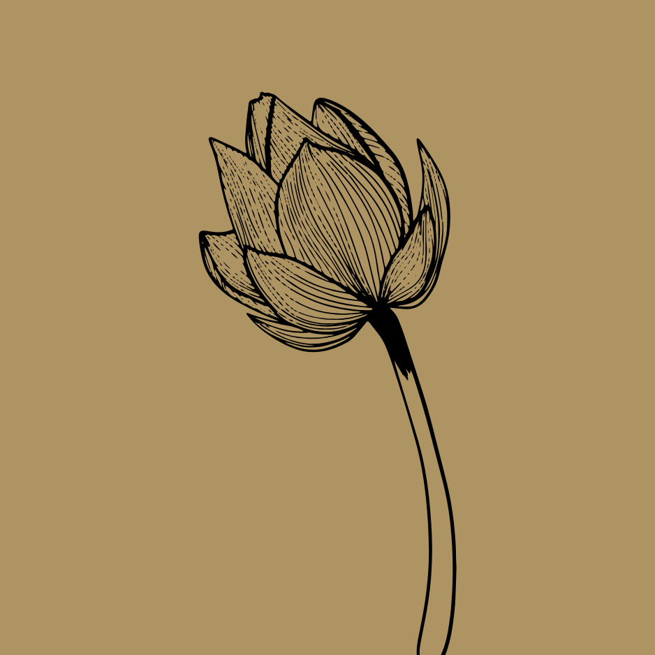 Bloom: Lead Flow Essentials