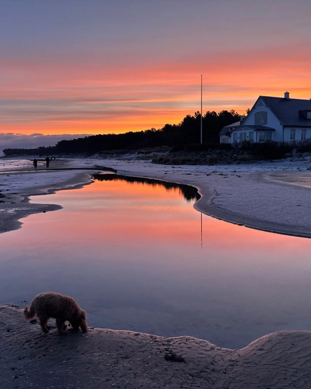Godt nyt &aring;r , lad os h&aring;be p&aring; det vil blive et &aring;r med fokus p&aring; fred mellem mennesker. #fredelig #ikkekrig #notwar