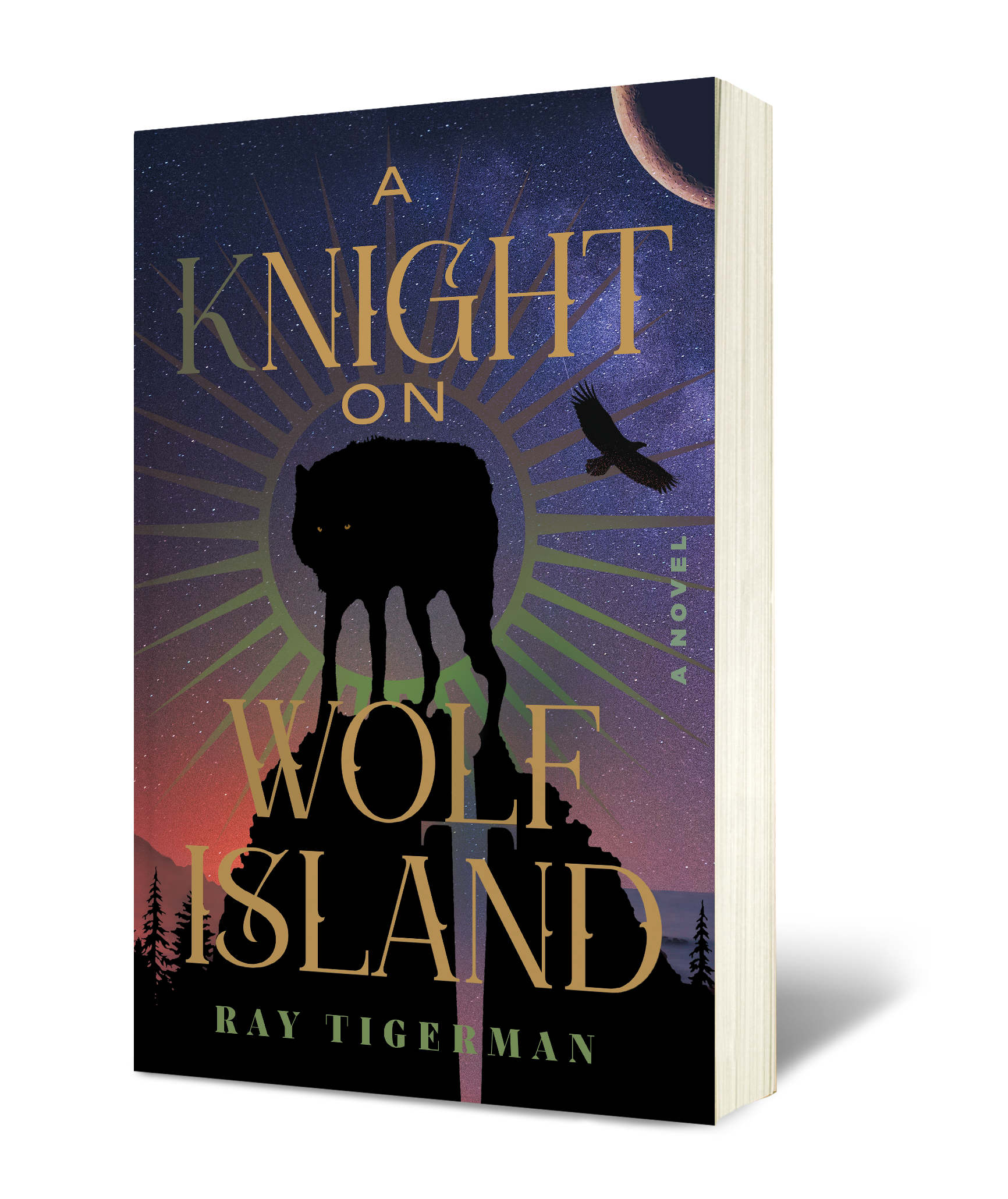 Book cover of A Knight on Wolf Island by Ray Tigerman