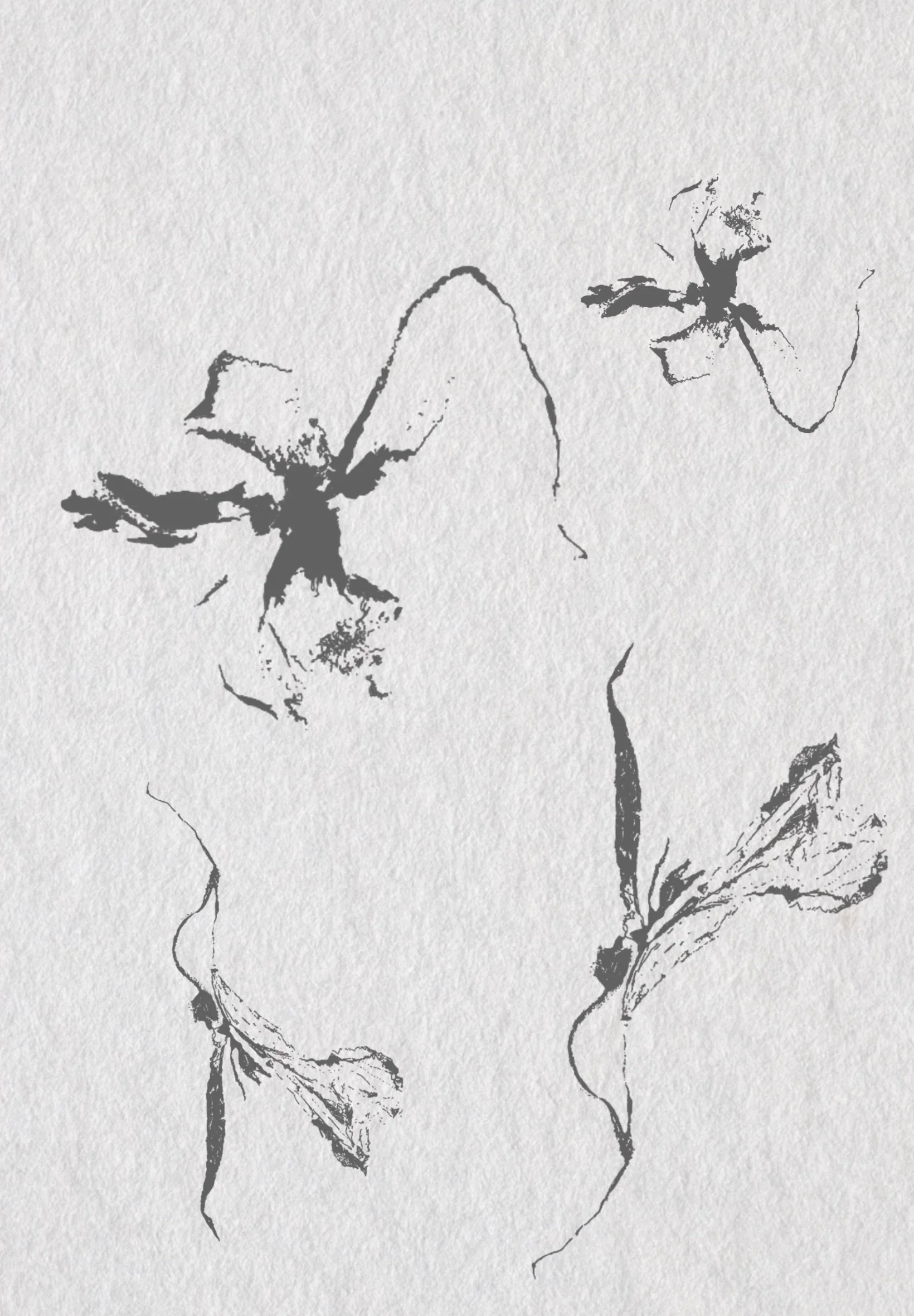 Blackwork_Florals.jpg
