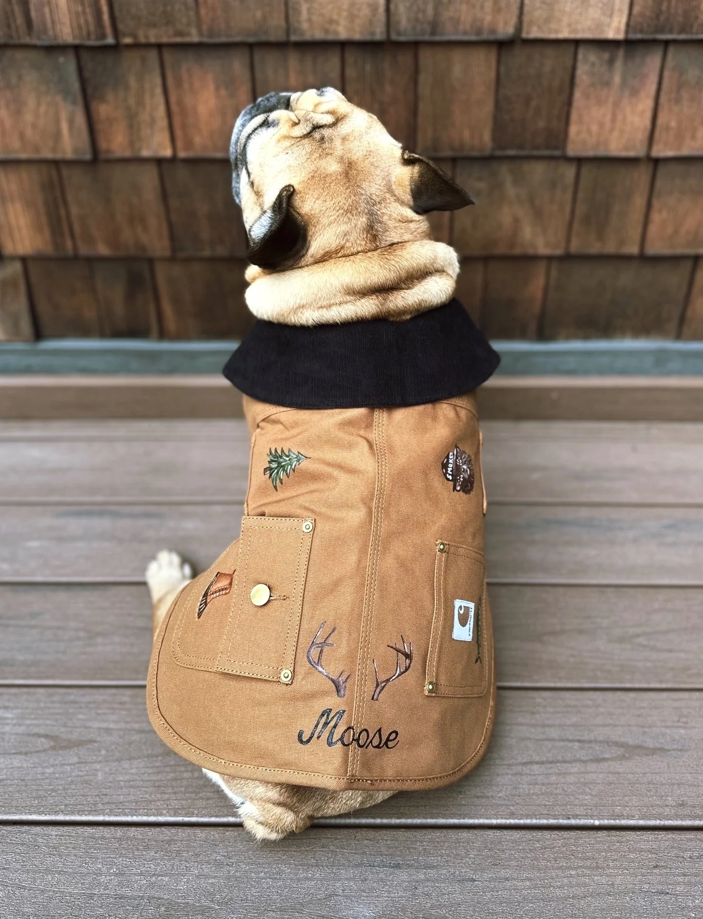 Carhartt Wilderness Dog Jacket