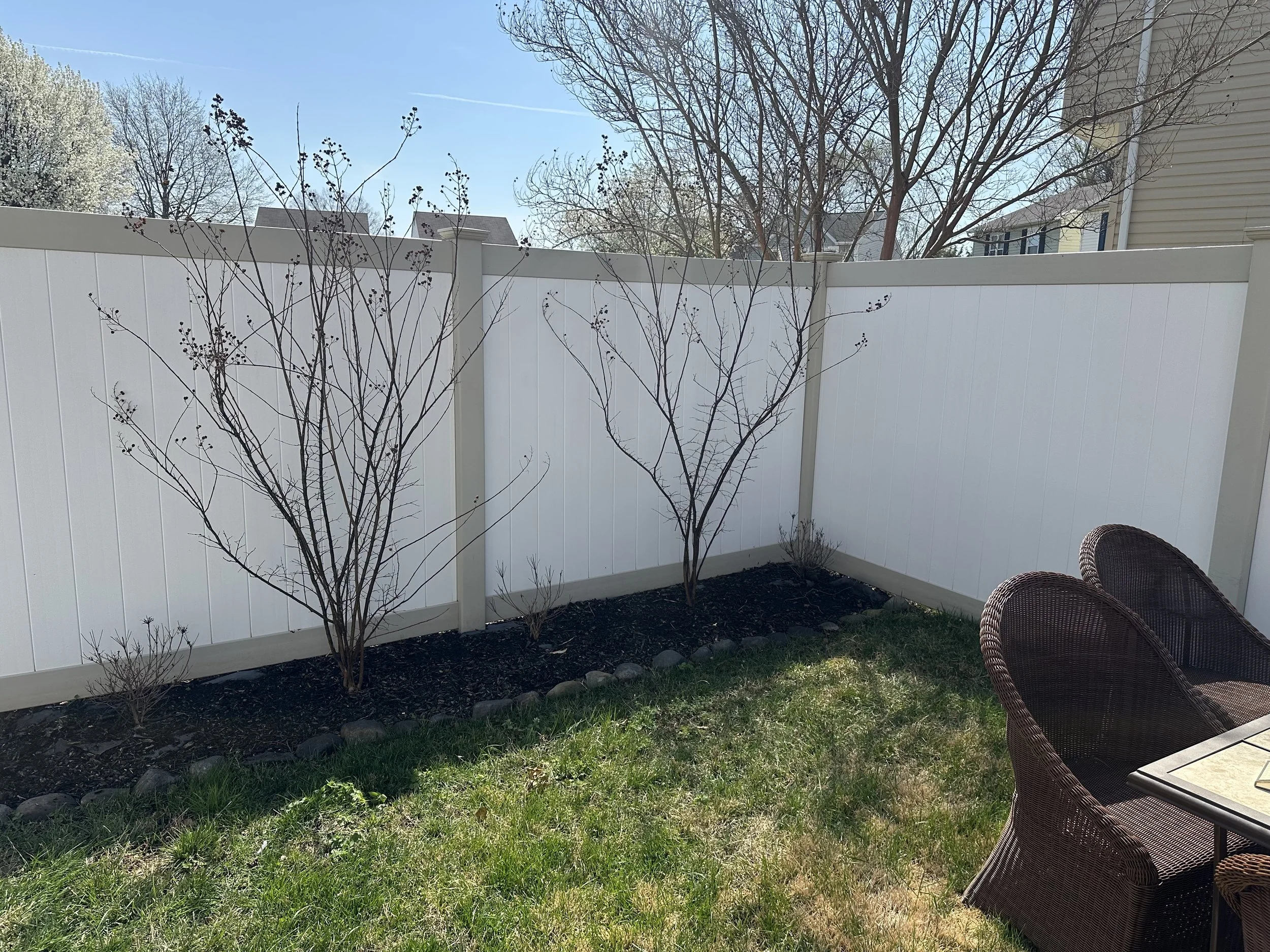 A backyard with a white privacy fence, three leafless trees in a garden bed, green grass, and an outdoor table with two wicker chairs. There are neighboring houses and a clear blue sky in the background.
