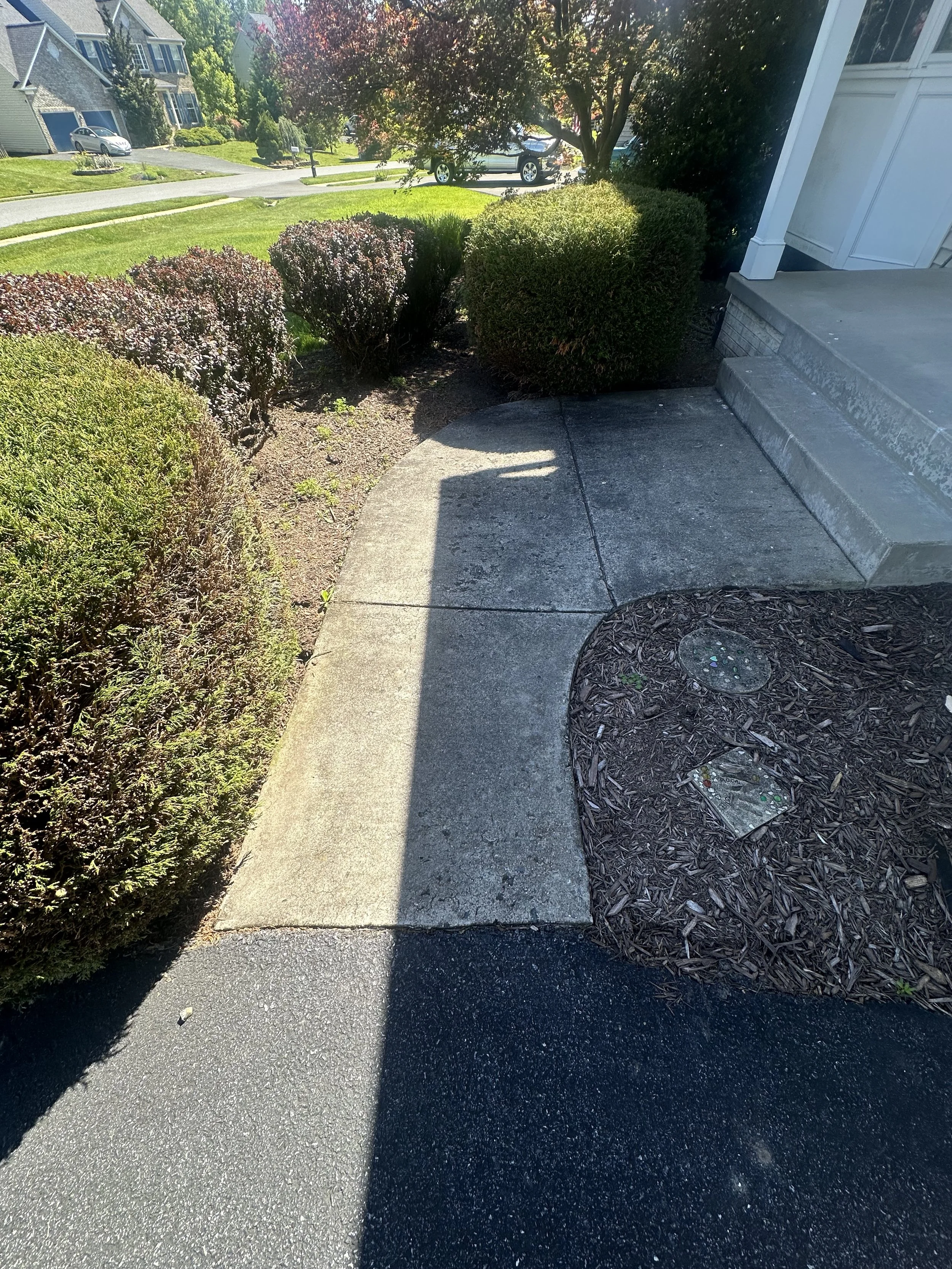 IMG_9232.jpeg