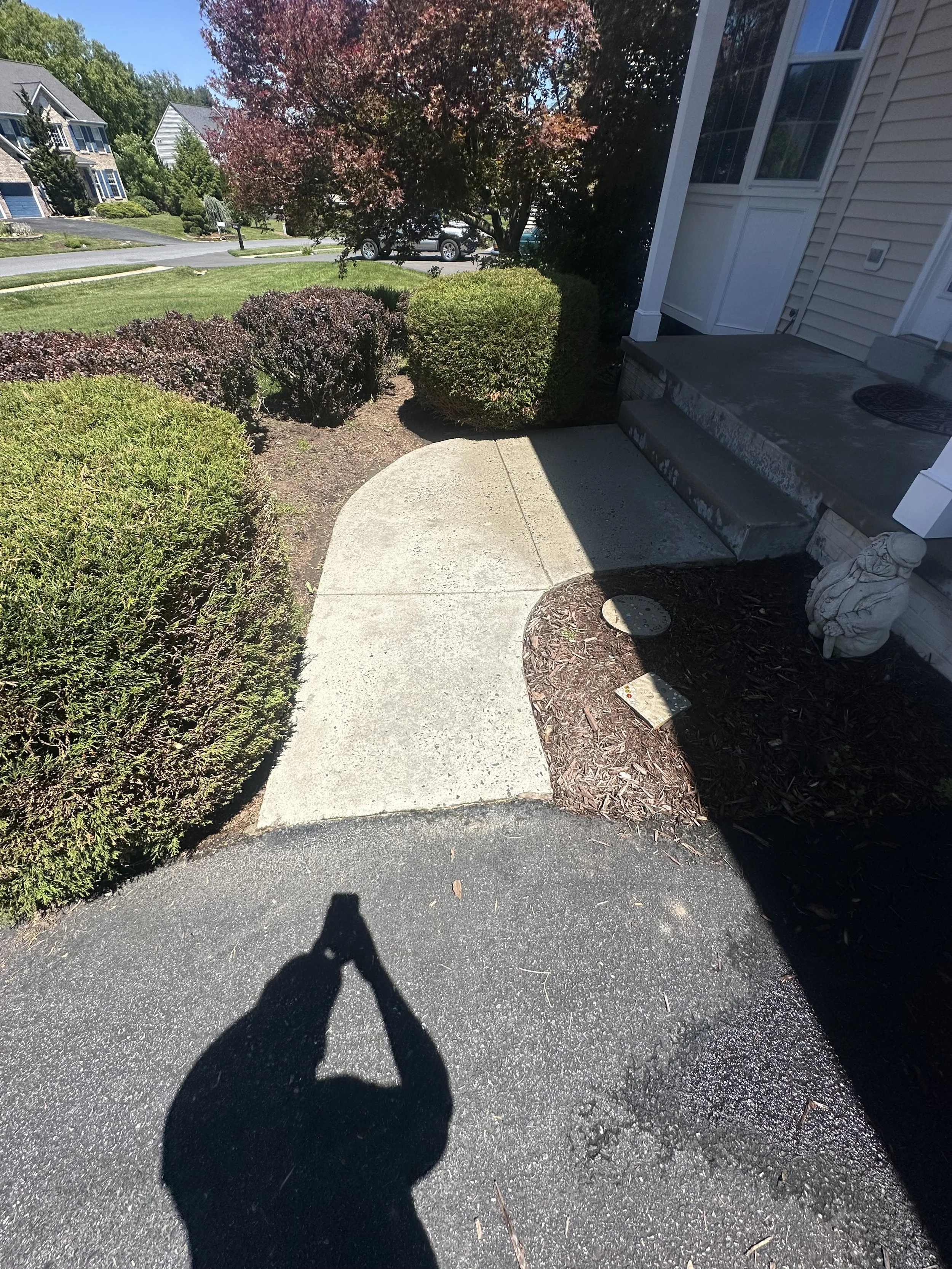 IMG_9236.jpeg