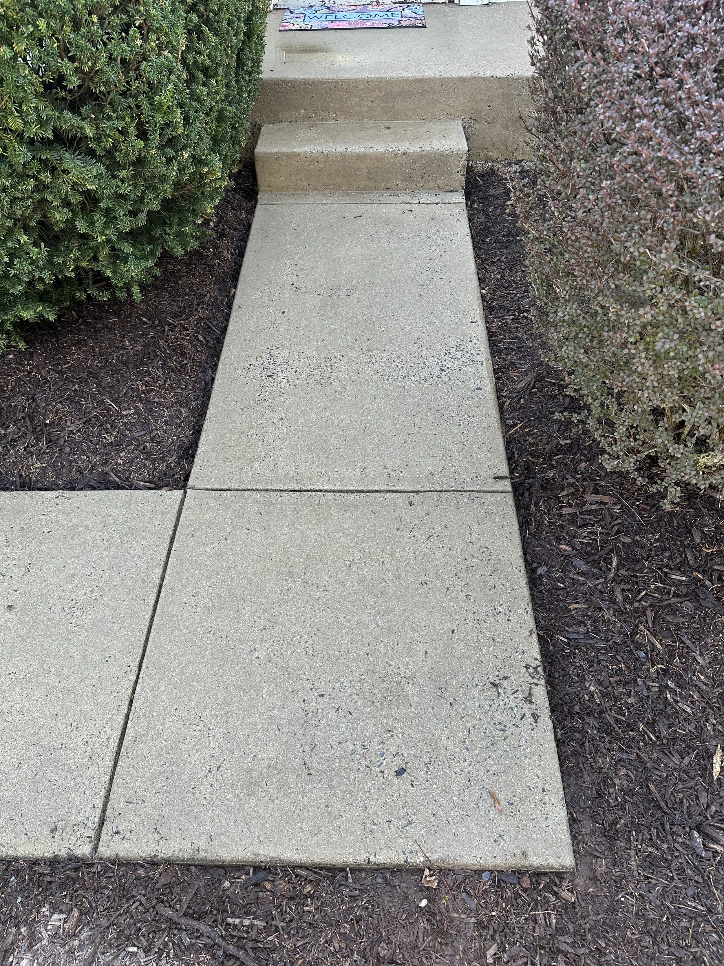Concrete sidewalk leading to a front door with steps, flanked by bushes on both sides, with a welcome mat on the porch.