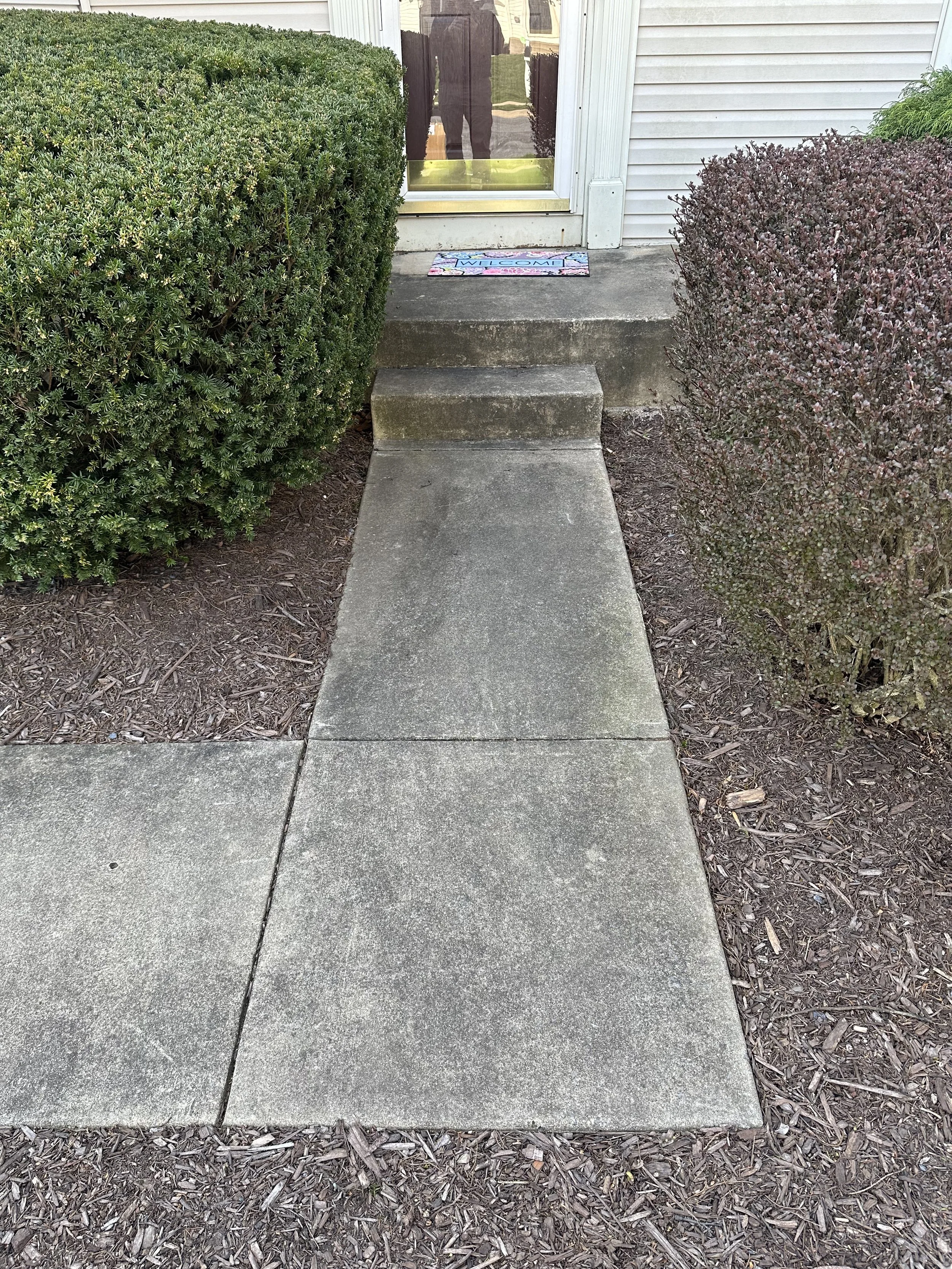 Concrete walkway leading to front door with steps, flanked by trimmed bushes, and a welcome mat at the door.