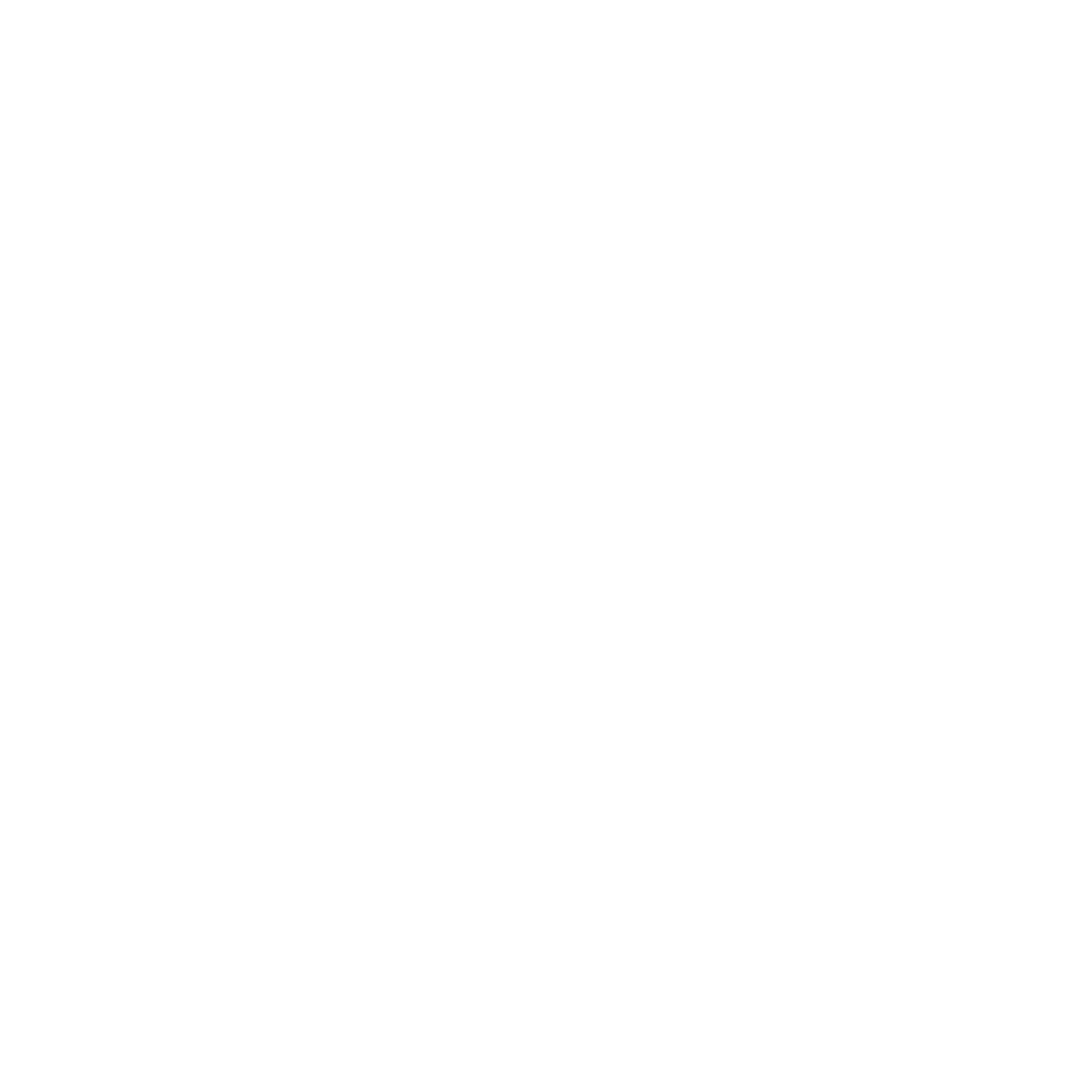 CFO Icon