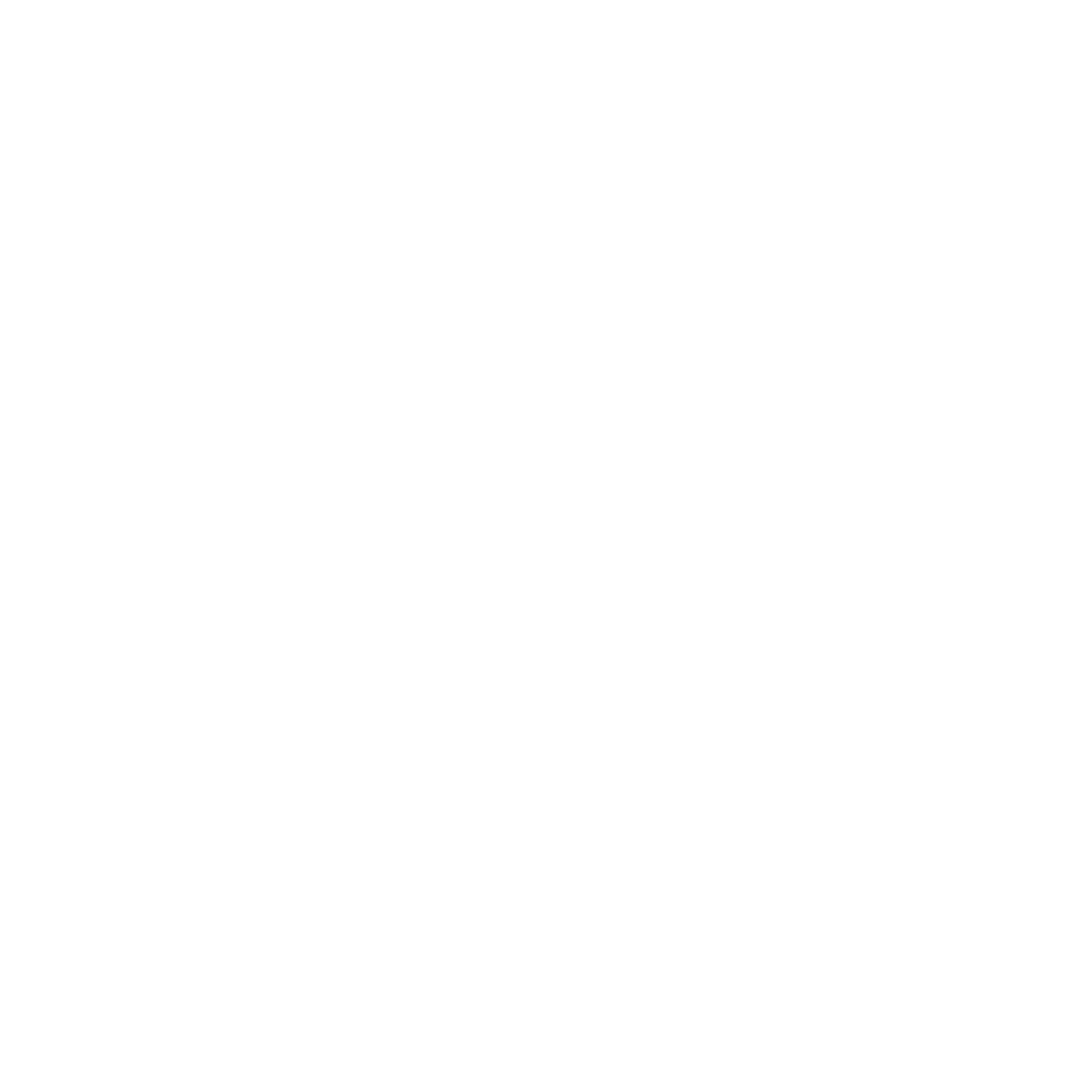Internal Audit Icon
