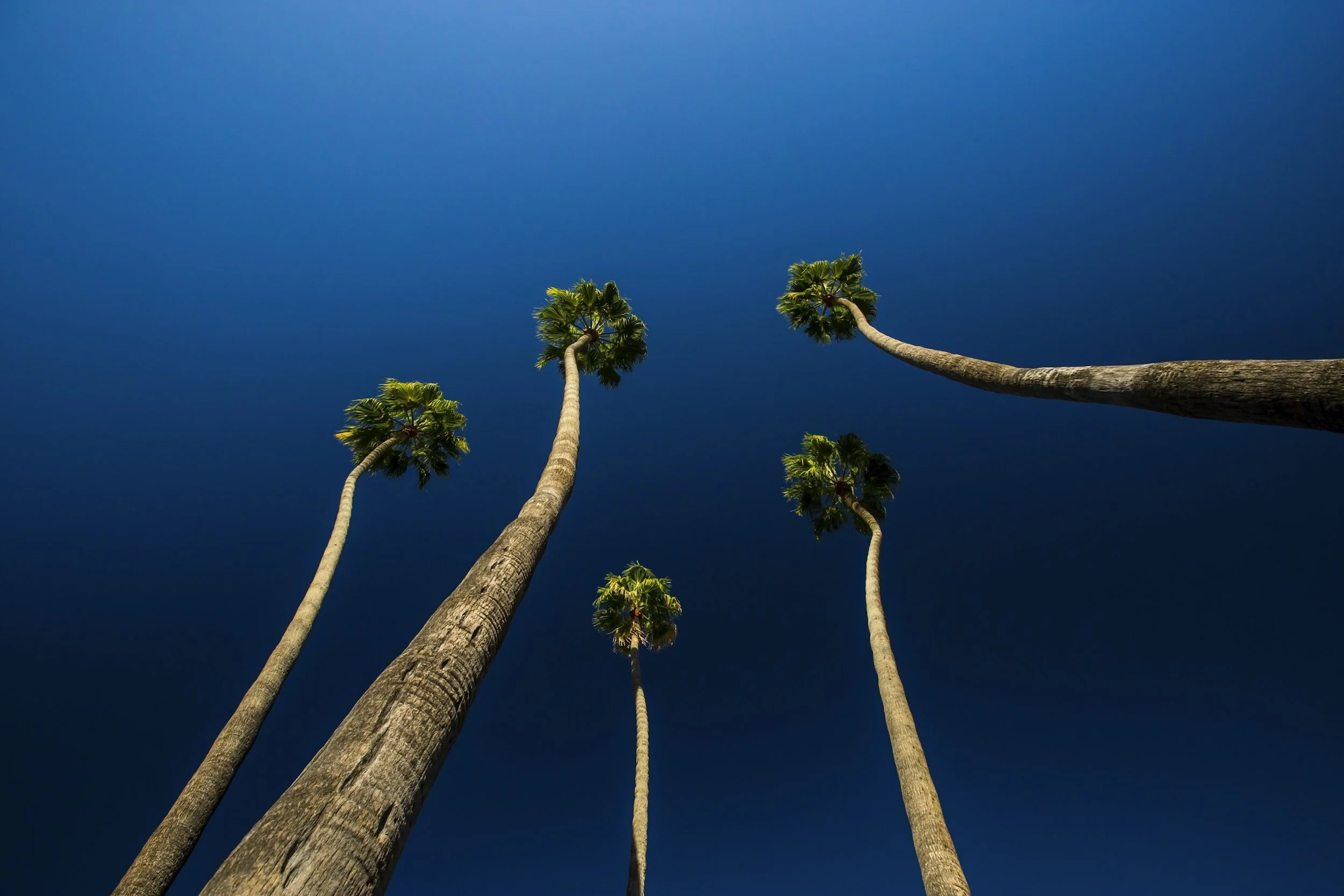 Five Hiring Metrics That Matter and Three That Don’t